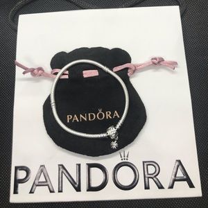 Pandora bracelet gift